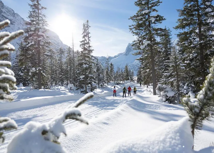 Appartamento Pircher-maes & Stubaital Telfes im Stubai